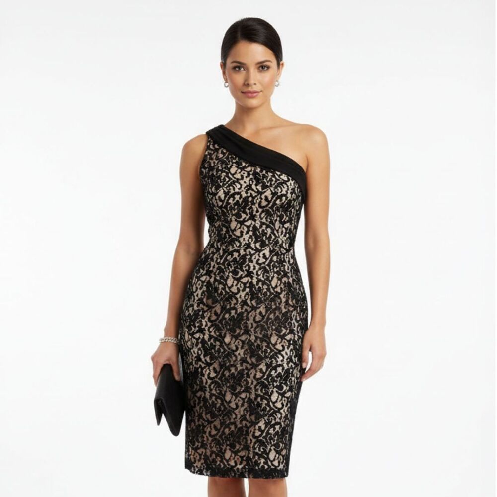 The Limited Black Lace 1 Shoulder Sleeveless Midi Dress 8